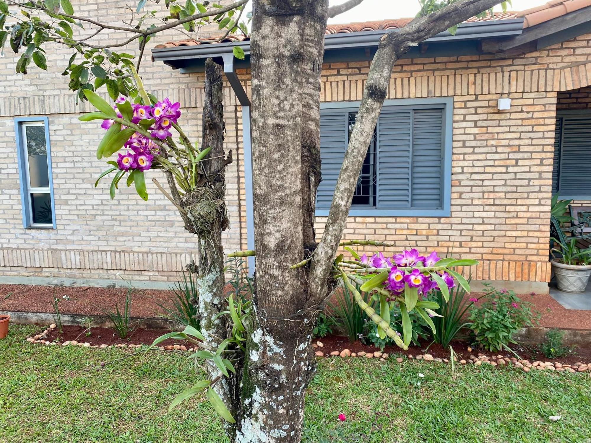 Moderna Y Unica Casa Independiente Con Jardin Y Estacionamiento Ciudad del Este Exteriér fotografie